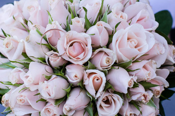 bouquet of flowers