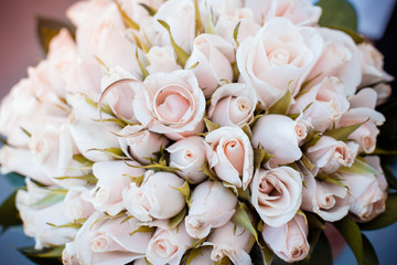 bouquet of white roses