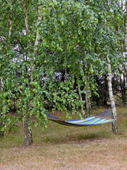 hamak ogrodowy © michalsen