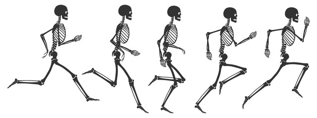 Five phases of running human skeleton. Black skeleton silhouettes isolated on white background. Vector illustration in flat style - obrazy, fototapety, plakaty