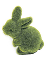 Green easter bunny white isolated background