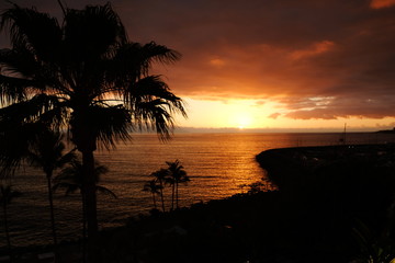 Fototapeta na wymiar Sunset over ocean and palms silhouette
