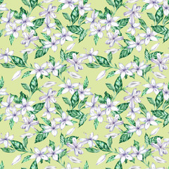 Watercolor seamless pattern with white coffee flowers and green leaves.