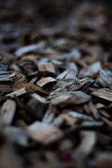 Wood chips texture