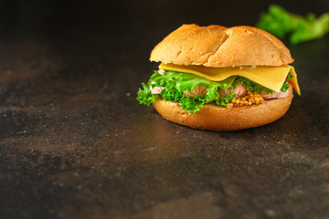 burger with sausages, cheese, lettuce, tomato sauce (snack sandwich, kaiser bun). top food background. copy space