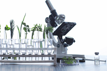 Microscope and test partings on the table in the laboratory.