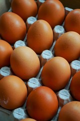 selective focus. a dozen brown eggs in their original packaging