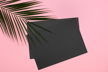 Black paper blank with tropical palm leaf Monstera on pink background. Flat lay, top view minimal concept