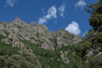 Fototapeta na wymiar Mons la Trivalle Languedoc France Gorge d'Heric