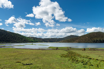 tibet scenery