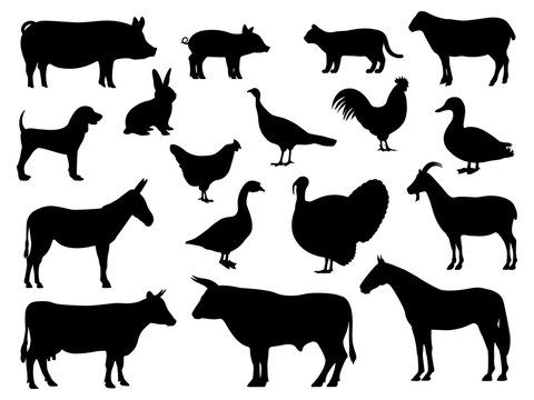 Set of silhouettes of domestic farm animals