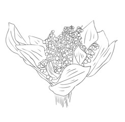 Fototapeta na wymiar Vector illustration, isolated bouquet of lily of the valley flowers in black and white colors, outline hand painted drawing