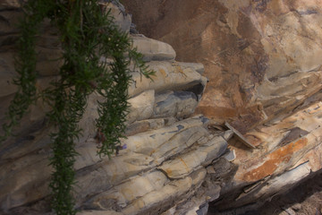 close up Sandsteinfelsen