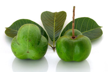 Rubber seeds (Hevea brasiliensis) and rubber leaves isolated on white background.