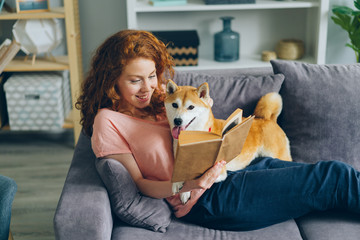 Happy young woman is enjoying book and stroking cute doggy shiba inu breed sitting on couch in flat...