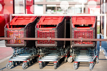 supermarket shopping carts ready for customers