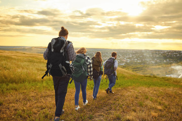Group of friends trekking with backpacks walking in the forest .