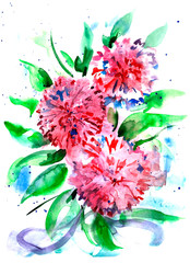 Watercolour bouquet of asters