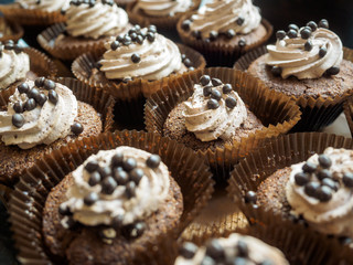 Row of chocolate cupcakes with cream and berries.