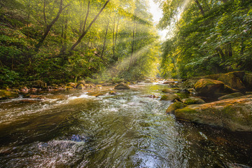 Harzlandschaft Bodetal im Sommer