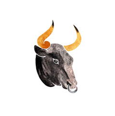 Bull head isolated on a white background. Watercolor hand drawn paper raster texture illustration in cute minimalistic style.