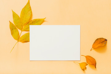 Autumn greeting card. White mockup paper sheet with foliage decoration on peach background. Copy space.
