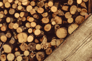 Brown timber over defocused stock of round cut wood logs. Rustic style background. Nature pattern wallpaper.