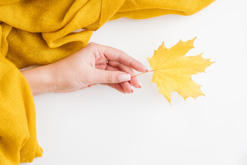 Autumn foliage abstract design. Woman hand holding single yellow maple leaf over white background....