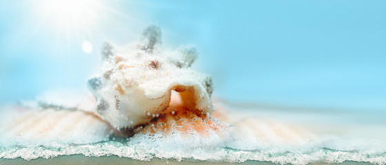 Close up sand with blurred sea sky background, summer day, copy space or for product. Shell close-up.