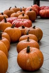 フラリエのカボチャ