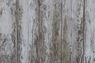 Fototapeta na wymiar Wood panel vintage texture background retro grunge resource
