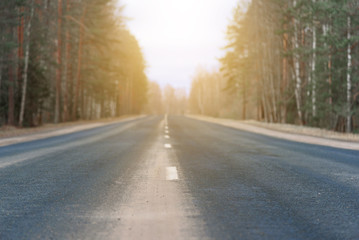 Highway with its white dividing strip lit by bright sunlight close up. The forest background in blur.