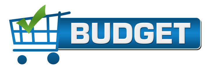 Budget Shopping Cart Check Mark Blue Horizontal 