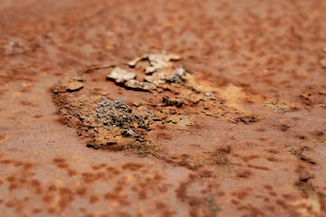 rusty metal. blurred background.