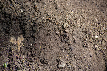 Heap of soil with stones