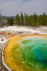 Geyser and hot spring in old faithful basin in Yellowstone National Park in Wyoming