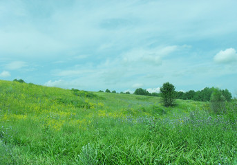 summer lawn. grass is green, the sky is clouds. country view.