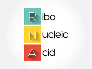 RNA - Ribonucleic acid acronym, medical concept background