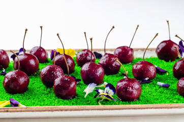 Top view catering banquet table with different food snacks and appetizers. Cold snacks, close up. Assorted canapes with caviar and cherry on green decoration, white background. Party food.