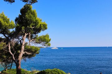 Fototapeta na wymiar bay with blue sky and blue ocean in croatia