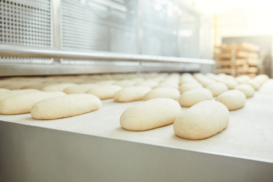 Raw bread is making on the automatic equipment line in the bakery.