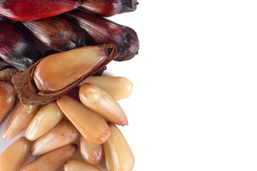 Brazilian Pinion fruit in white background in the side of the frame with some peeled seen from above