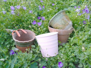 A group of old ceramic and tin flower pots and a soil loosening tool among garden plants.