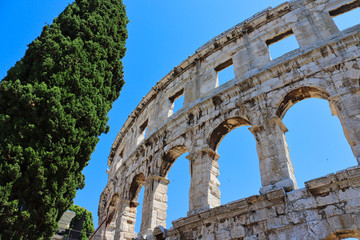 Obraz premium the colosseum in rome at summertime