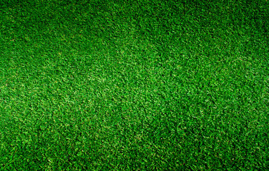 Fototapeta premium Green grass soccer field background