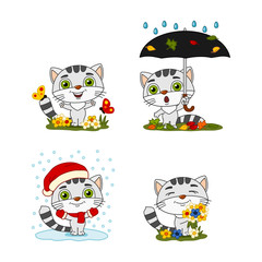 Set of little kitten in different seasons - summer, autumn, winter, spring