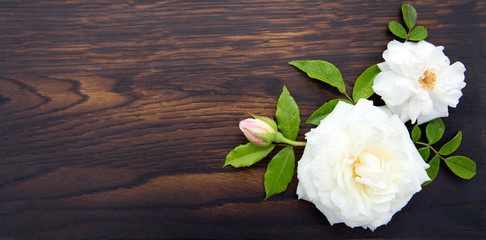 White roses on brown wooden background.Top view.Copy space