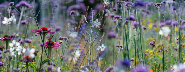 Fototapety  Panoramiczny widok na ogród z kwiatami i motylami