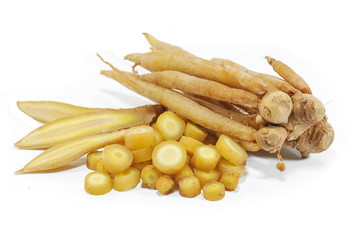 Fingerroot isolated on white background