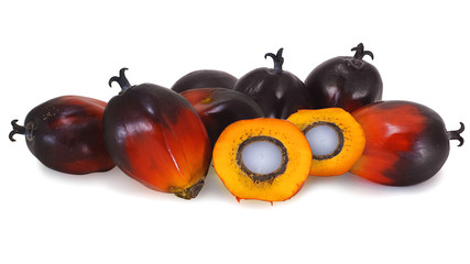 Palm oil fruit isolated on white